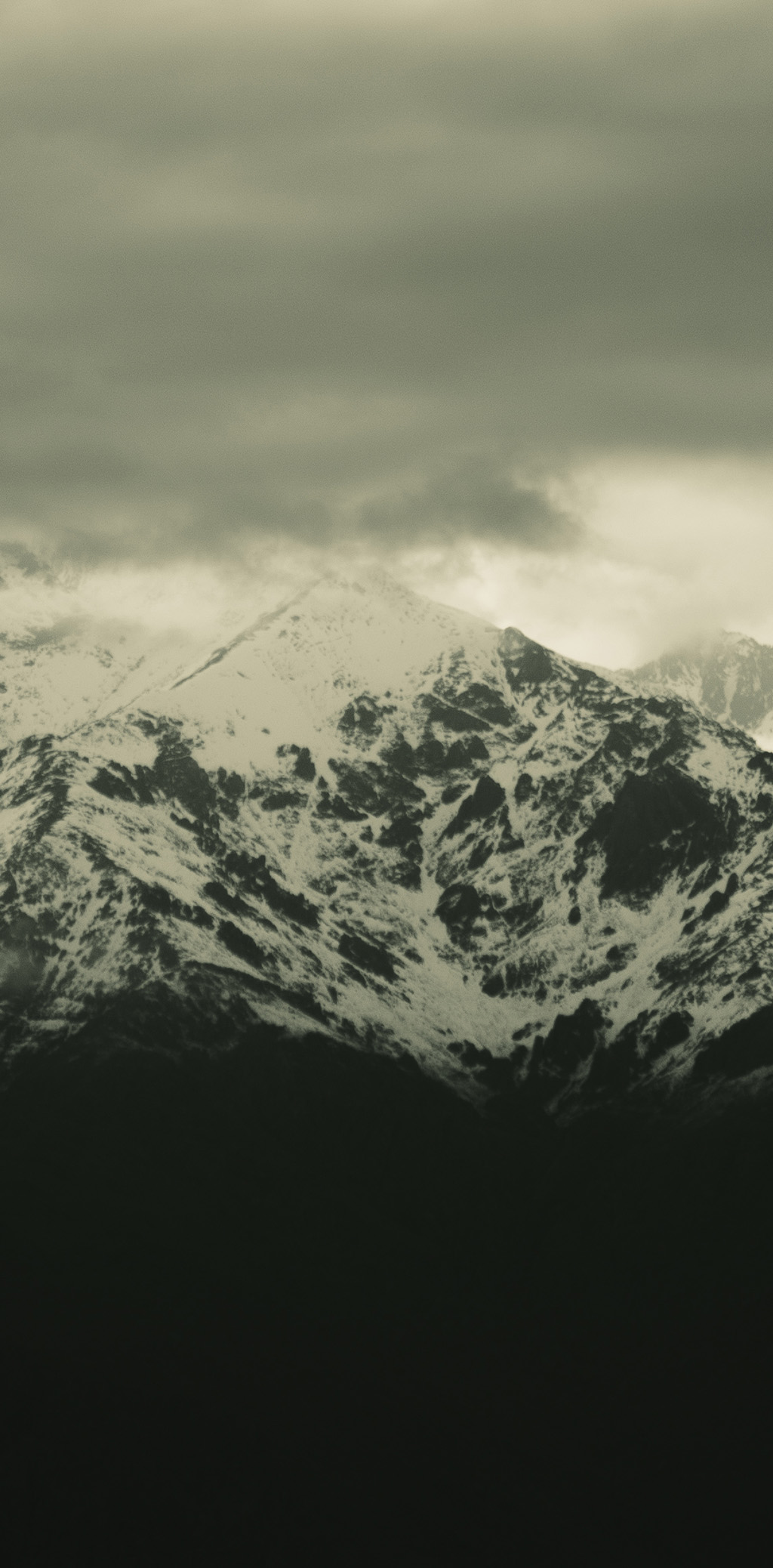 Viñedo con vista a la Cordillera