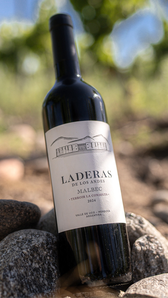 Laderas Malbec
