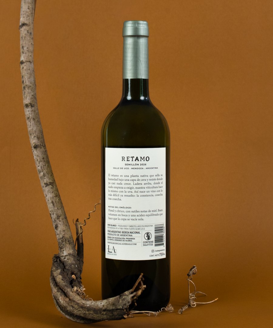 Retamo Semillón 2026 — contraetiqueta